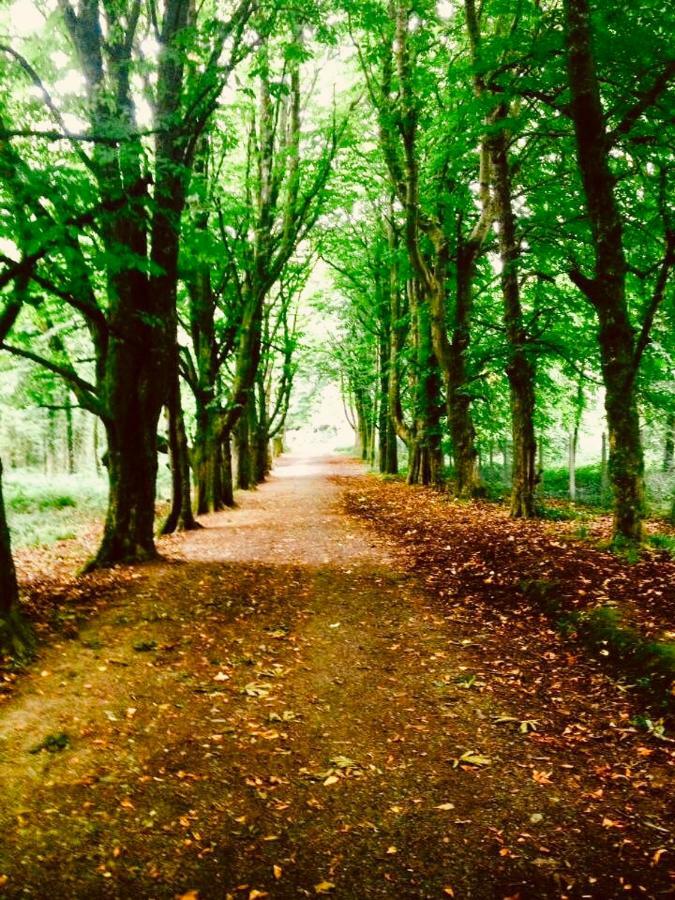 Woodleigh Lodge Gorey Zewnętrze zdjęcie